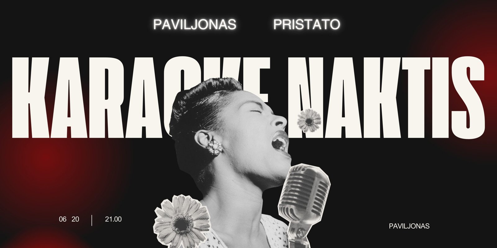 Paviljono Karaoke Naktis