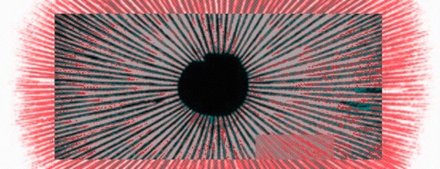 transmediale (berlin) festivalis ūmedėje: trumpametražių filmų programa “būdai tapti”